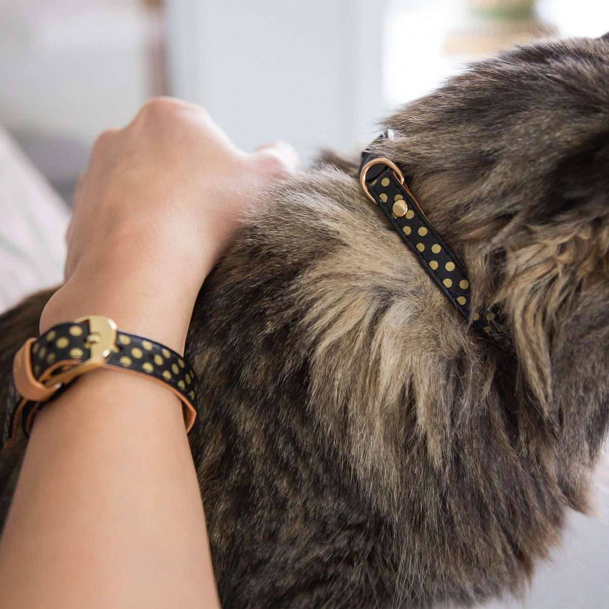 Set de collar para gato y pulsera de la amistad