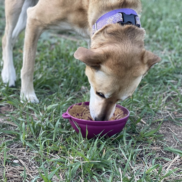 Tazón Tipsy Garden of Eatin' - Tapete de Lamer con Balanceo para Perros y Gatos | Hecho en EE. UU.