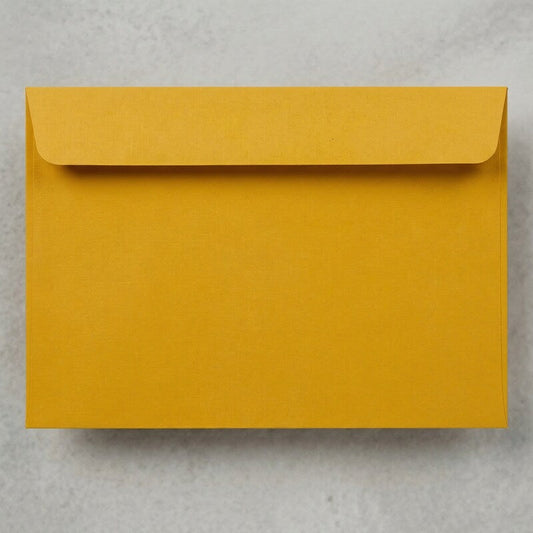 Jam Paper 9X12 envelopes 100 pack